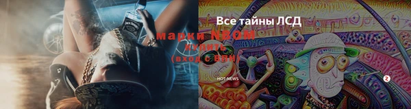 винт Алзамай