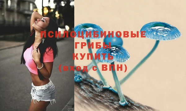 шишки Абинск