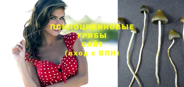 молекула духа Няндома