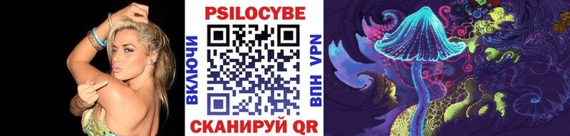 мега маркетплейс  Собинка  Галлюциногенные грибы GOLDEN TEACHER 